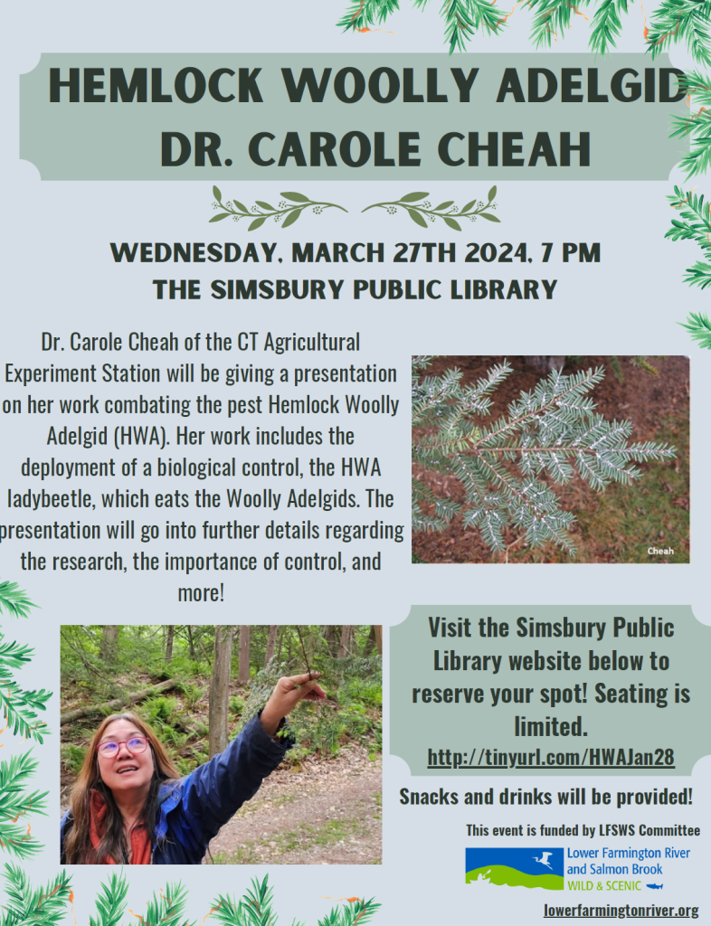 Dr. Carole Cheah of the CT Agricultural Experiment Station will be presenting her work on combating the Hemlock Woolly Adelgid (HWA), a serious non-native pest of Eastern Hemlocks, using a ladybeetle which feeds specifically on HWA, for biological control. Control of HWA is important because they can eventually kill infested hemlocks that play important ecological roles such as helping to maintain cool water temperatures needed for aquatic life in nearby water bodies.

Dr. Cheah has been a leader in HWA control for over 25 years.  Recent grants from the Farmington River's two Wild and Scenic Committees, the Lower Farmington River and Salmon Brook Wild and Scenic Committee and the upper river's Farmington River Coordinating Committee, have supported her local control efforts that will be the emphasis of Dr. Cheah's presentation.  Dr. Cheah also obtained cooperation from several towns, land trusts, wildlife management areas,  the MDC, and the CT DEEP for access to land and releases of ladybeetles.